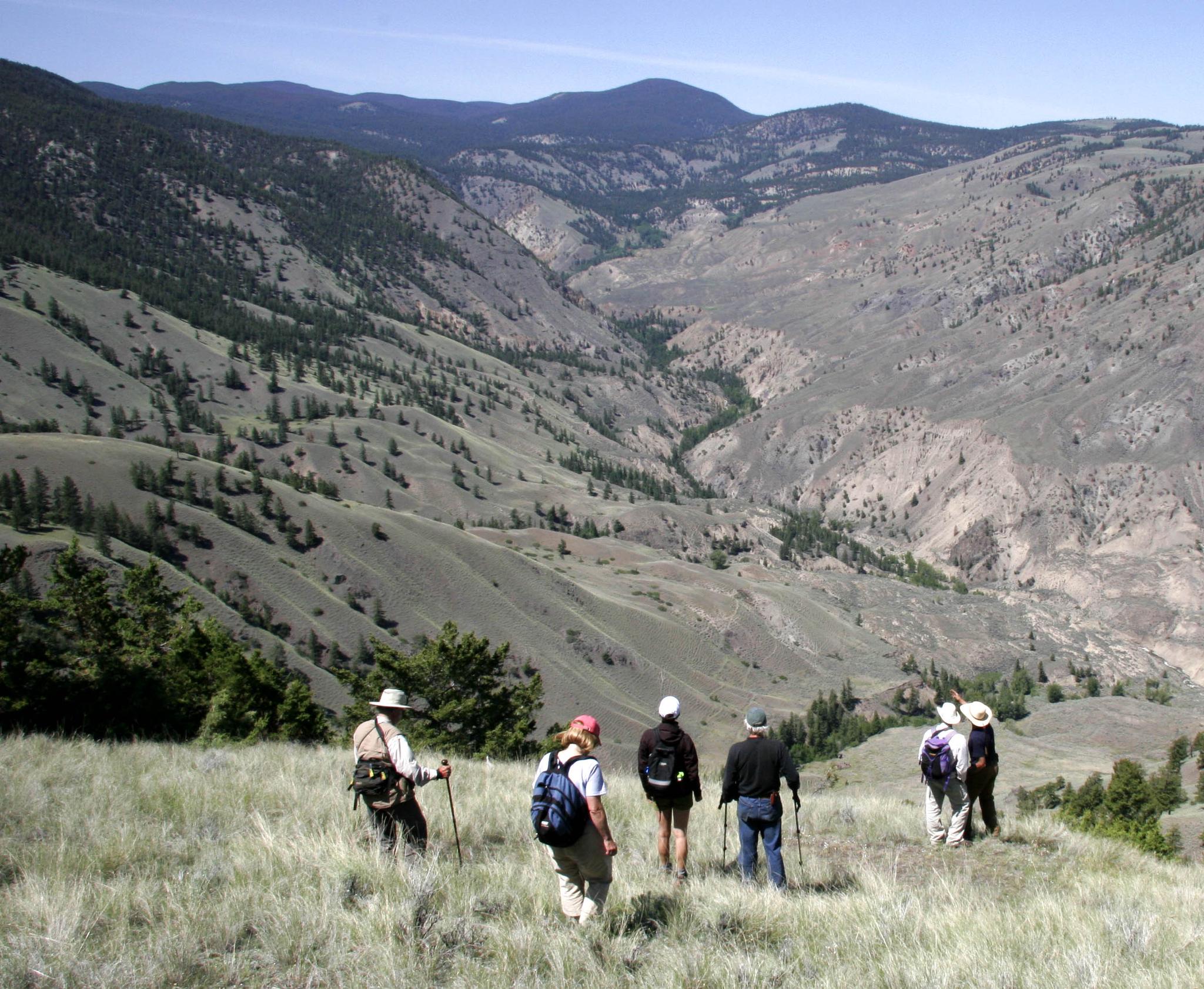 Group of hikers looking over mountain